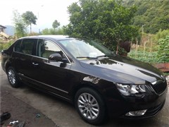 2013 1.4TSI DSG˰