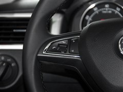 Ϻ˹´,꿶,2014 1.6L Զ,пطʵͼƬ