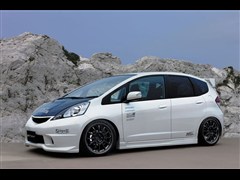2008 1.5L ֶ