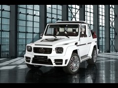 2013 G 500