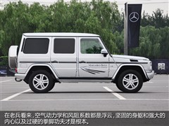 2013 G 500