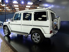 2013 G 500
