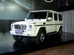 G 2013 G 500