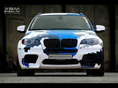 2013 X6 M