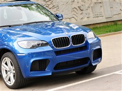 2010 X5 M