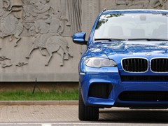 2010 X5 M