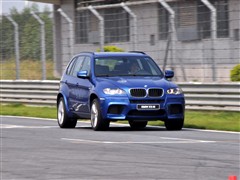 2010 X5 M