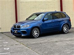 2010 X5 M