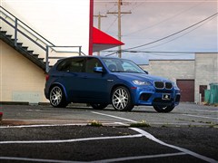 2010 X5 M