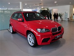 2010 X5 M