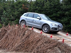 2010 2.0TFSI ˶