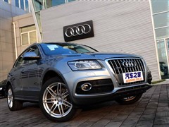 2010 2.0TFSI ˶