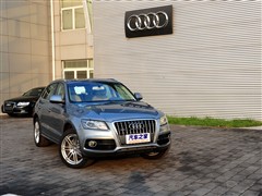 2010 2.0TFSI ˶