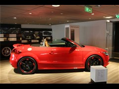 µTTS 2013 TTS Roadster 2.0TFSI quattro