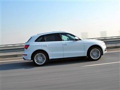 µ(),µSQ5,2014 SQ5 3.0TFSI quattro,ʵͼƬ