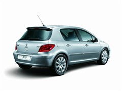 ,307,2010  1.6L Զ,ʵͼƬ