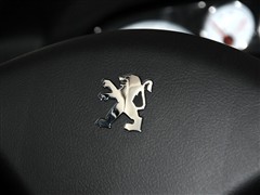 ,307,2010  1.6L Զ,пطʵͼƬ
