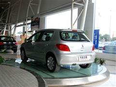 ,307,2010  2.0L Զ˶,ʵͼƬ
