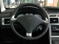 ,307,2010  2.0L Զ˶,пطʵͼƬ
