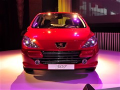 ,307,2010  2.0L Զ,ʵͼƬ