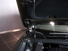 ѩ,DS 5LS,2014 1.8L ԶʰVTi140,ϸʵͼƬ