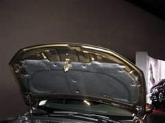 ѩ,DS 5LS,2014 1.8L ԶʰVTi140,ϸʵͼƬ