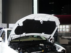 ѩ,DS 5LS,2014 1.8L °VTi140,ϸʵͼƬ