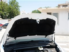 ѩ,DS 5,2014 1.6T THP200,ϸʵͼƬ