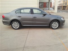 2013�� 1.6L �Զ����ʰ�