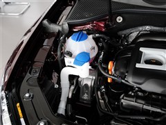 2013 2.0TSI DSG
