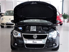 (),Eos,2008 2.0TSI 6MT,ϸʵͼƬ