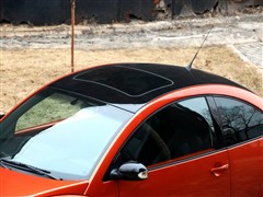 (),׿ǳ,2010 1.8T BlackOrange,ϸʵͼƬ