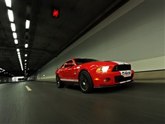 (),Ұ,2012 GT500 ֶ,ʵͼƬ