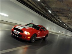 (),Ұ,2012 GT500 ֶ,ʵͼƬ