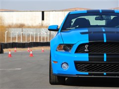(),Ұ,2012 GT500 ֶ,ϸʵͼƬ
