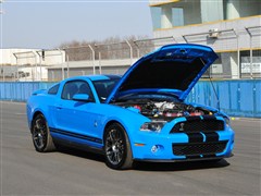 2012 GT500 ֶ