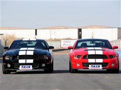 2012 GT500 ֶ