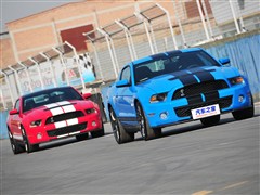 2012 GT500 ֶ