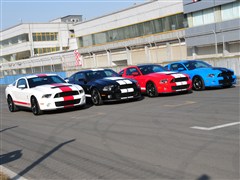 2012 GT500 ֶ