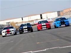 2012 GT500 ֶ