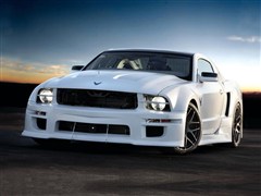2012 GT500 ֶ