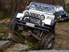 Jeep(),,2004 4.0L Rubicon,ϸʵͼƬ
