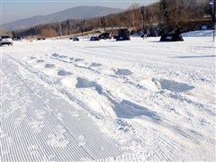 2011 2.4L 