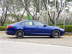 ݱ,ݱXF,2011 XF 3.0 V6 75,ʵͼƬ