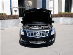 ͨÿ,XTS,2013 28T Ӣ,ϸʵͼƬ