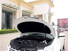 (),SRX,2014 3.0L Ӣ,ϸʵͼƬ