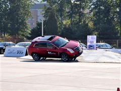 2011 3.0L 