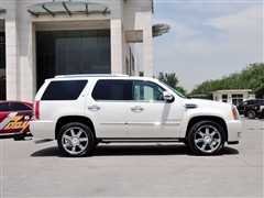 (),׵ESCALADE,2009 6.0 Hybrid,ʵͼƬ