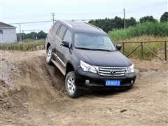 2010 460