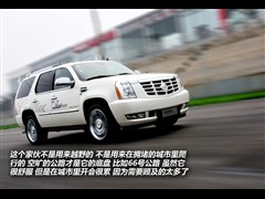 (),׵ESCALADE,2010 6.0 Hybrid,ͼʵͼƬ